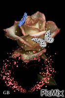 Blumen - 無料のアニメーション GIF