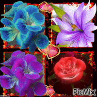 Virágok - Ingyenes animált GIF