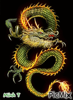 dragon animuotas GIF