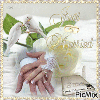 Just Married animuotas GIF