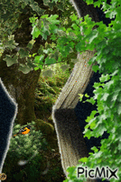 Cuentos de bosques animovaný GIF