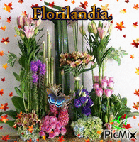 florilandia - Безплатен анимиран GIF