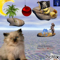 pinto pirata - Bezmaksas animēts GIF