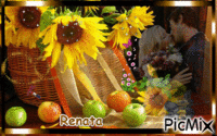 słoneczniki - Darmowy animowany GIF