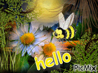 bzzzz...bzzzz...hello! - Free animated GIF