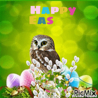 easter owl 动画 GIF
