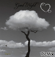 good night - Zdarma animovaný GIF