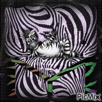 zebra GIF animé