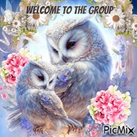 welcome owl GIF animasi