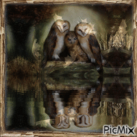 Fall Owl and Moon - GIF animado gratis