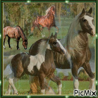 Cavalos na Natureza - GIF animé gratuit