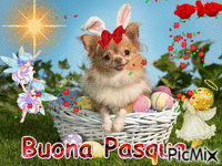 Buona Pasqua - Ilmainen animoitu GIF