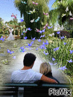 paisagem romantica GIF animado