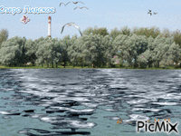Лидское озеро - GIF เคลื่อนไหวฟรี
