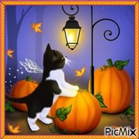 CHAT D'AUTOMNE - 免费PNG