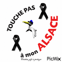 Hommage aux victimes de Stasbourg анимированный гифка