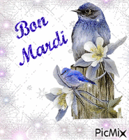 bon mardi - 無料のアニメーション GIF