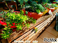 Garden Vip Arts - GIF animate gratis