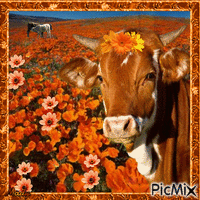 Vache et fleurs orange