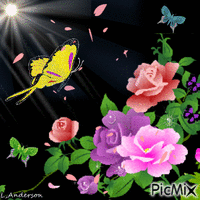 Roses An Butterfly - GIF animé gratuit