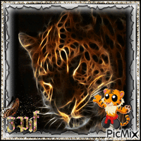 Russian Tiger - Darmowy animowany GIF