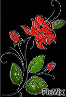 Red rose - 免费动画 GIF