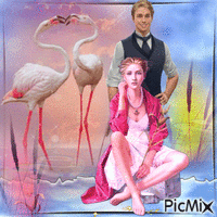 flamingo GIF animé