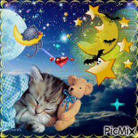 Nuit chat - Free animated GIF