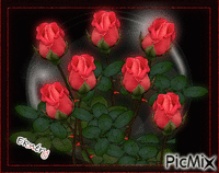 Szeretet rózsái - Nemokamas animacinis gif