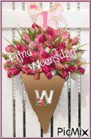 woensdag bloem animovaný GIF