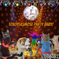 toxoplasmose party! - GIF animé gratuit