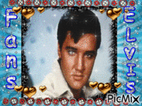 Pour les Fans D'Elvis κινούμενο GIF