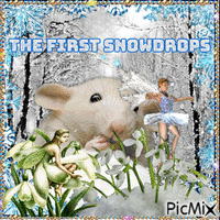 The First Snowdrops - GIF animé gratuit
