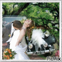 Wedding - Zdarma animovaný GIF