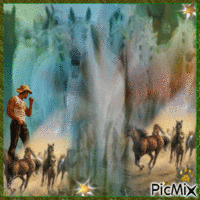galop de chevaux - Free animated GIF