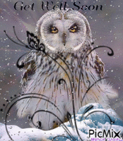 OWL GET WELL SOON Animiertes GIF
