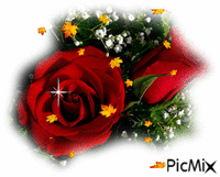 http://pt.picmix.com/ - Free animated GIF