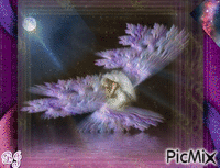 Peaceful Angel animovaný GIF