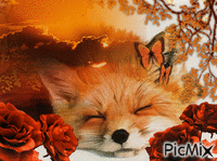 Fox - GIF animado grátis