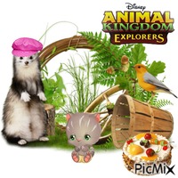 Animal Kingdom Explorers Now 动画 GIF