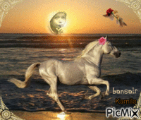 Horse in Summer - Ingyenes animált GIF
