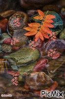 Creek Animated GIF