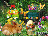 EASTER COMING SOON animuotas GIF