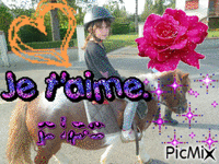 mon cheval pipo - Free animated GIF