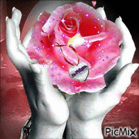 le rose d'amour - GIF animé gratuit