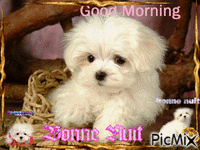 **** GOOD MORNING... BONNE NUIT...!!!! **** GIF animata