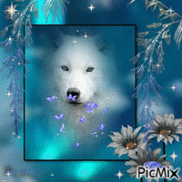 White Wolf11 - Darmowy animowany GIF