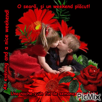 An evening and a nice weekend!t1 - GIF animado grátis