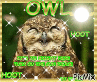 OWL animeret GIF