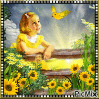 Sarı papatyalar - Animovaný GIF zadarmo